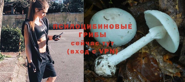 индика Фёдоровский
