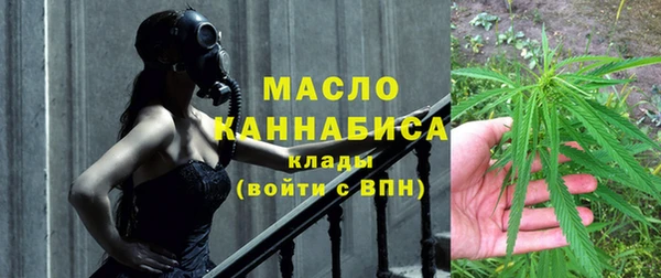 индика Фёдоровский