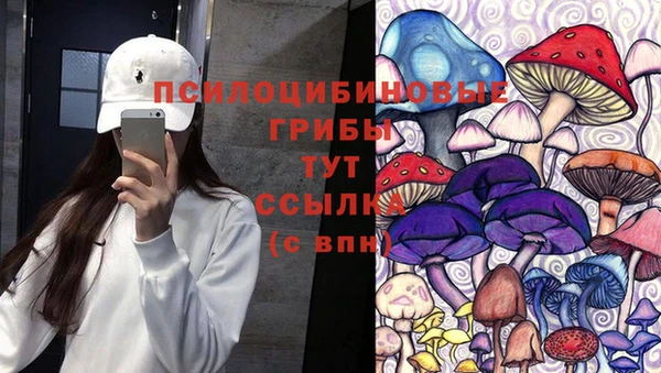 амф Нестеровская