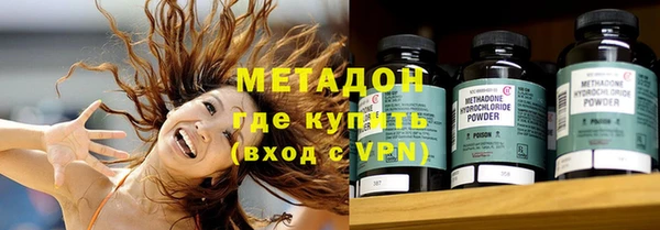 индика Фёдоровский