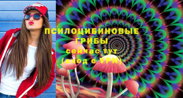 прущий лед Гусь-Хрустальный