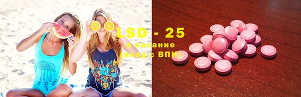 индика Фёдоровский