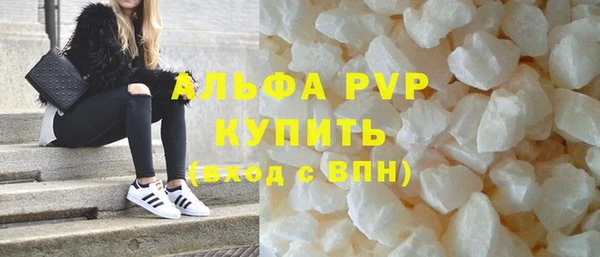 индика Фёдоровский