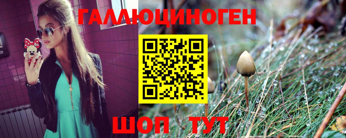 Псилоцибиновые грибы MAGIC MUSHROOMS  Вход с VPN  Джанкой  хочу   Галлюциногенные грибы мухоморы 